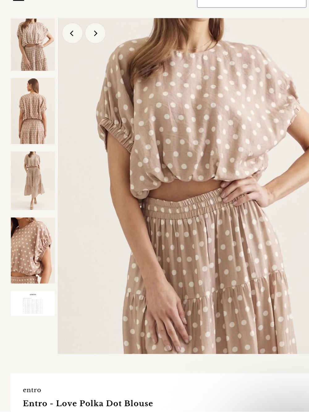 Entro Women’s Latte Polka Dot cropped blouse size S & skirt size M.